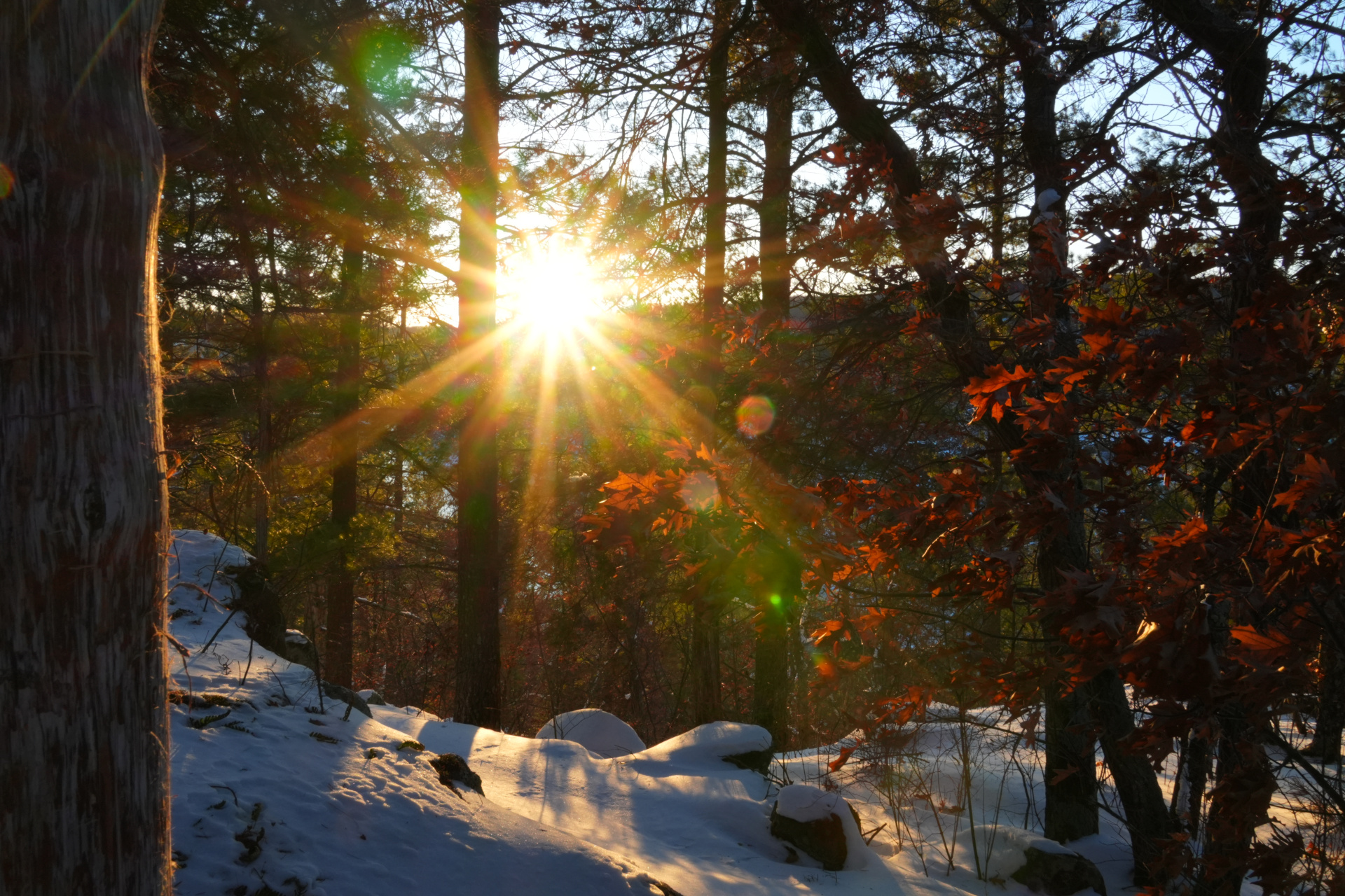 Frigid Winter Sunset in the Forest Taylors Falls, MN