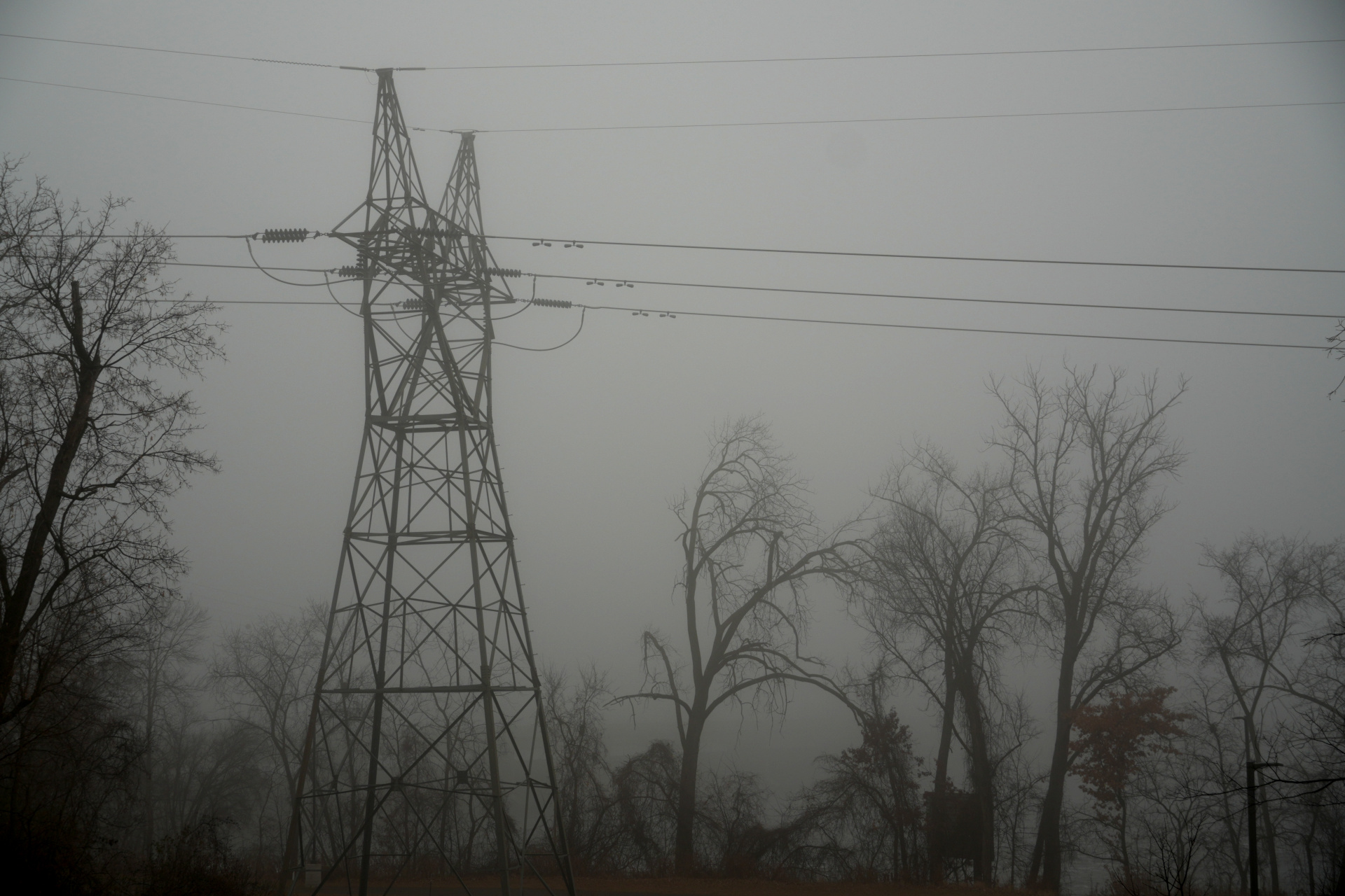 Foggy Power Lines Brooklyn Park, MN
