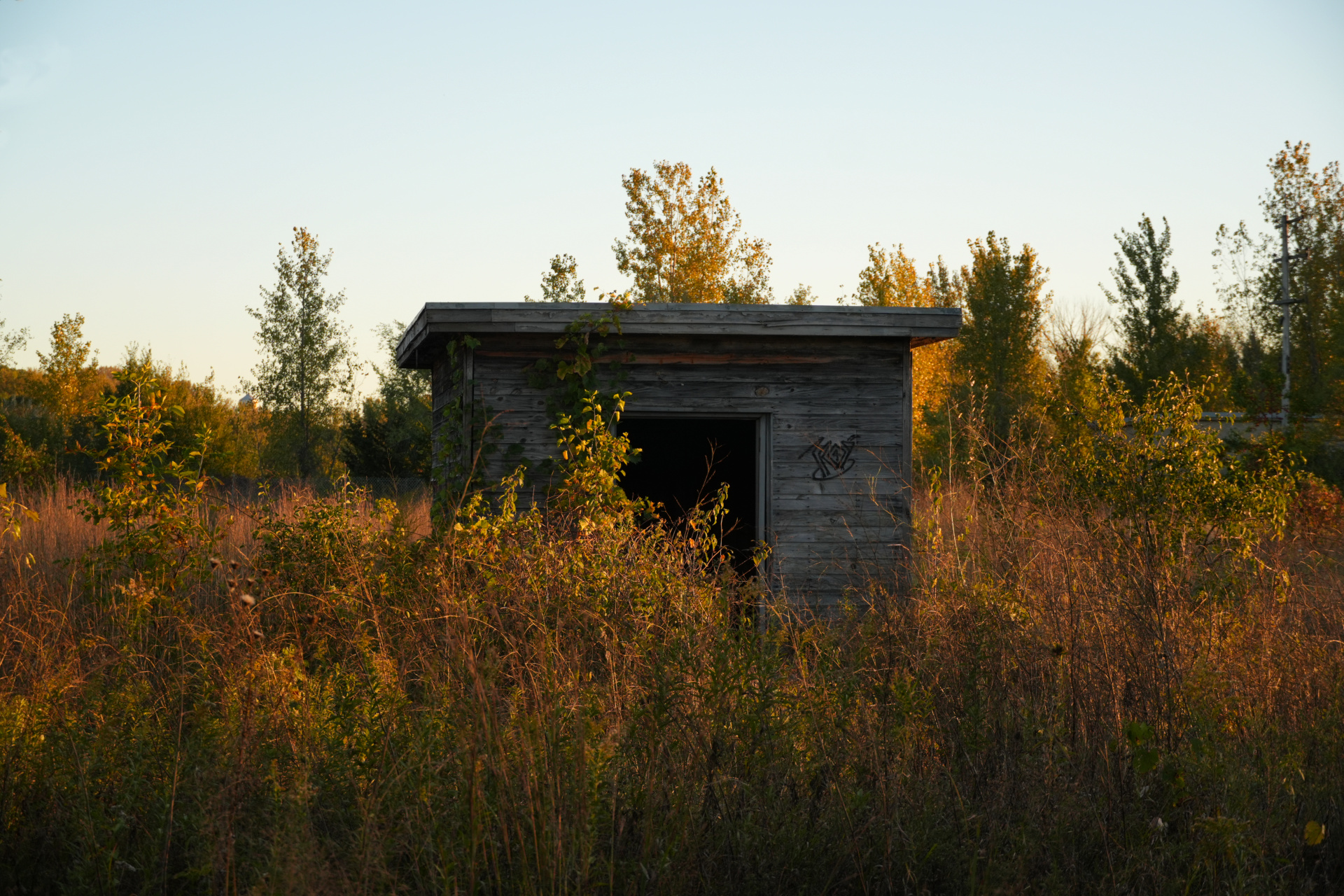 Abandoned building in the fall Somewhere, MN